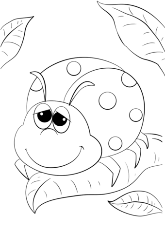 Ladybug