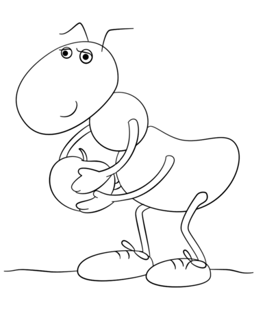 Ant