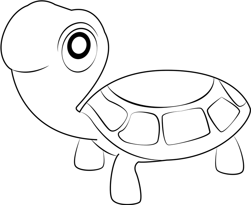 Turtle Smiling Coloring Game Turtle Smiling