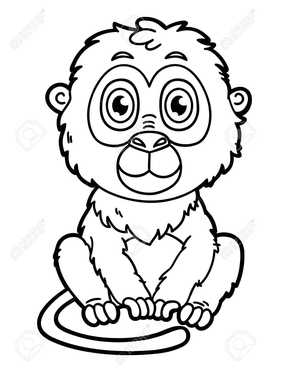 The Cutest Monkey Coloring Game The Cutest Monkey