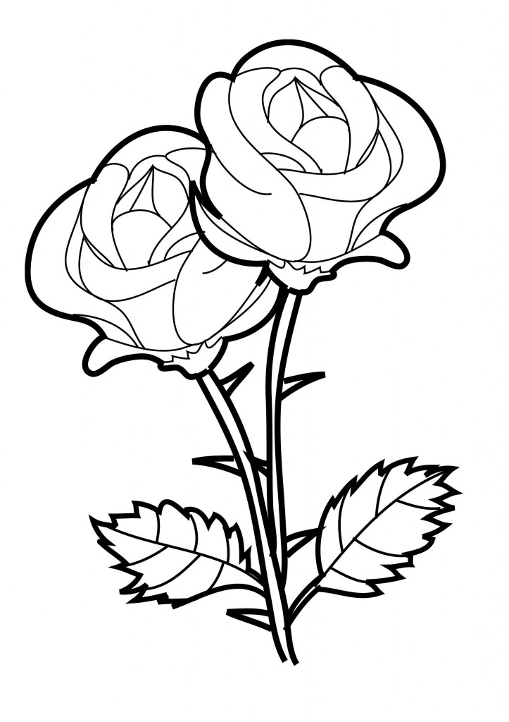 Two Roses Coloring Game Two Roses