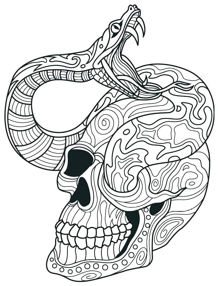Skull And Snake