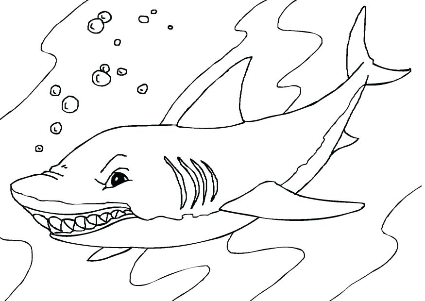 Cartoon Shark