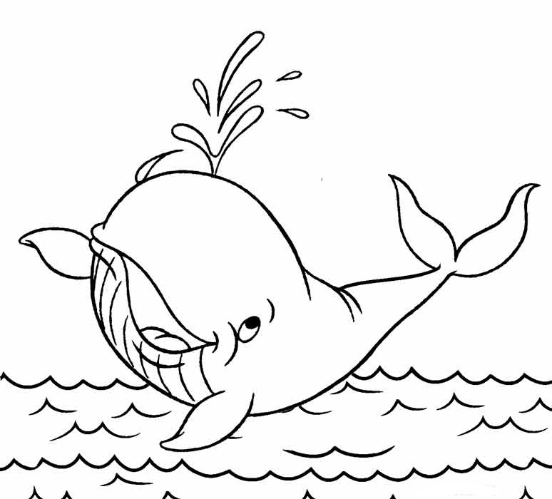 Whale