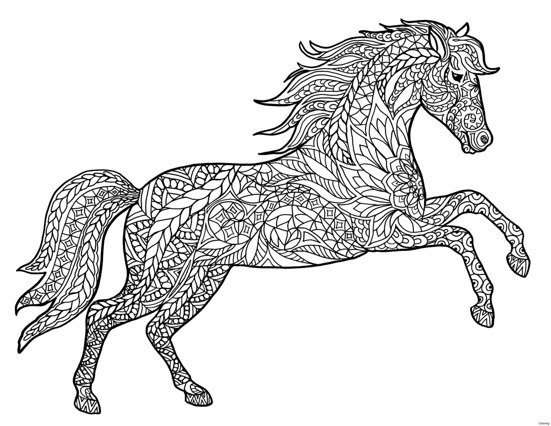 Mandala Horse