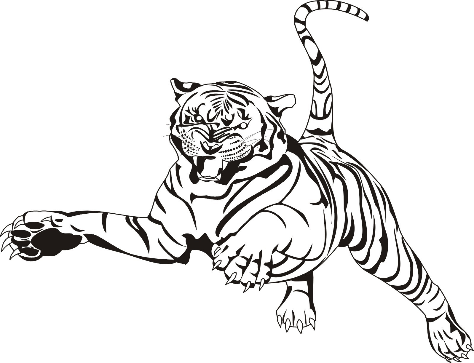 Tiger Attacking