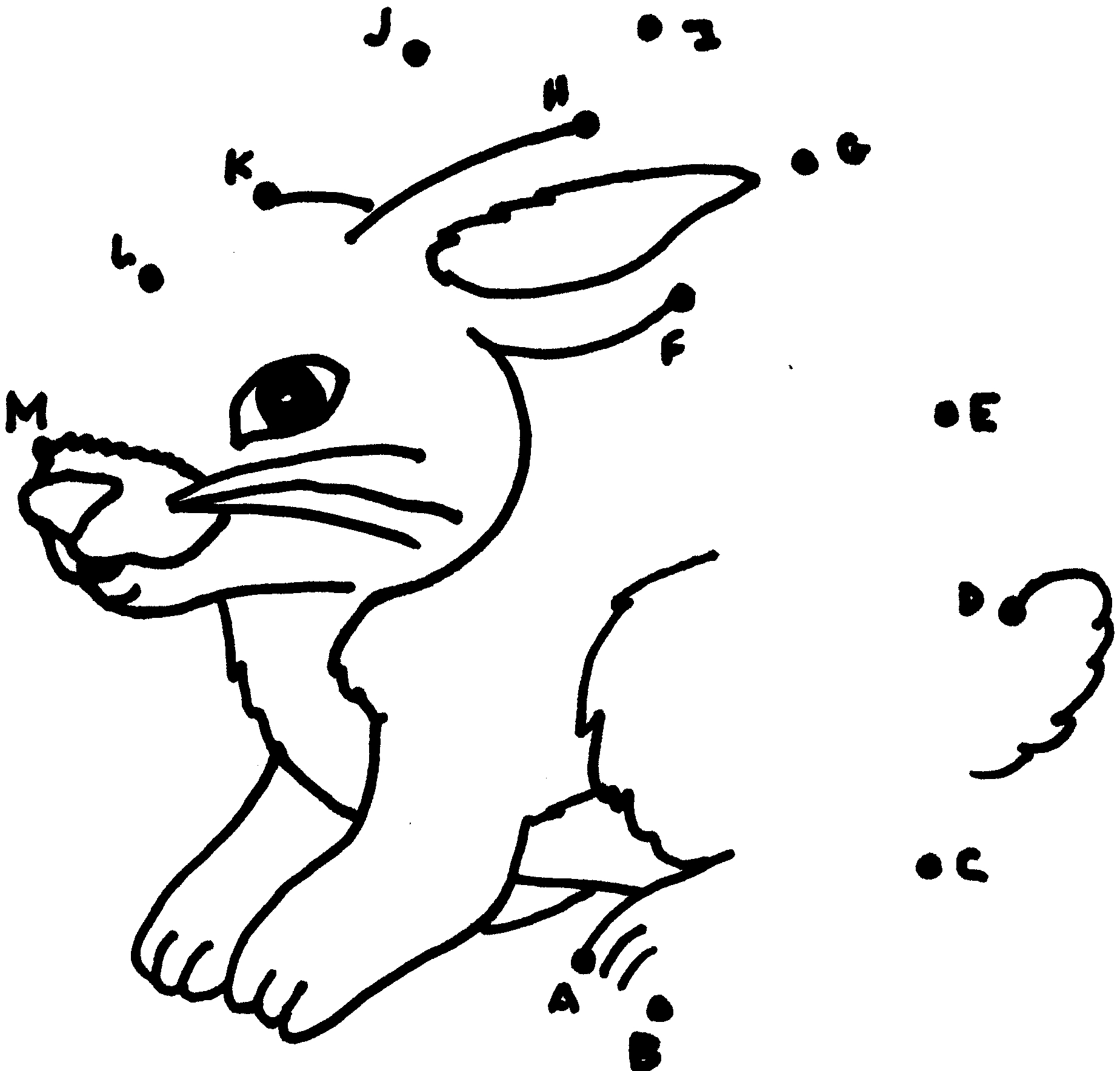 Rabbit Dot To Dots