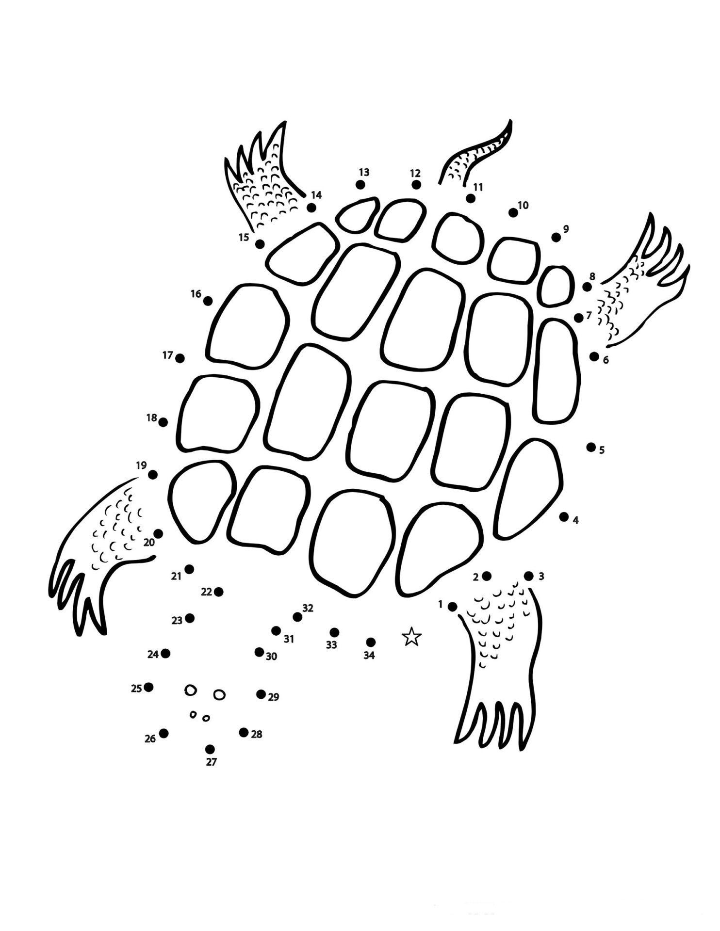 Turtle Dot To Dots Coloring Game Turtle Dot To Dots