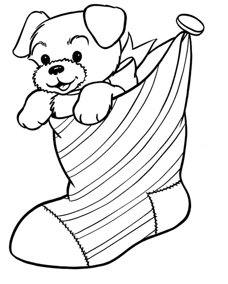 Dog In A Sock Coloring Game Dog In A Sock
