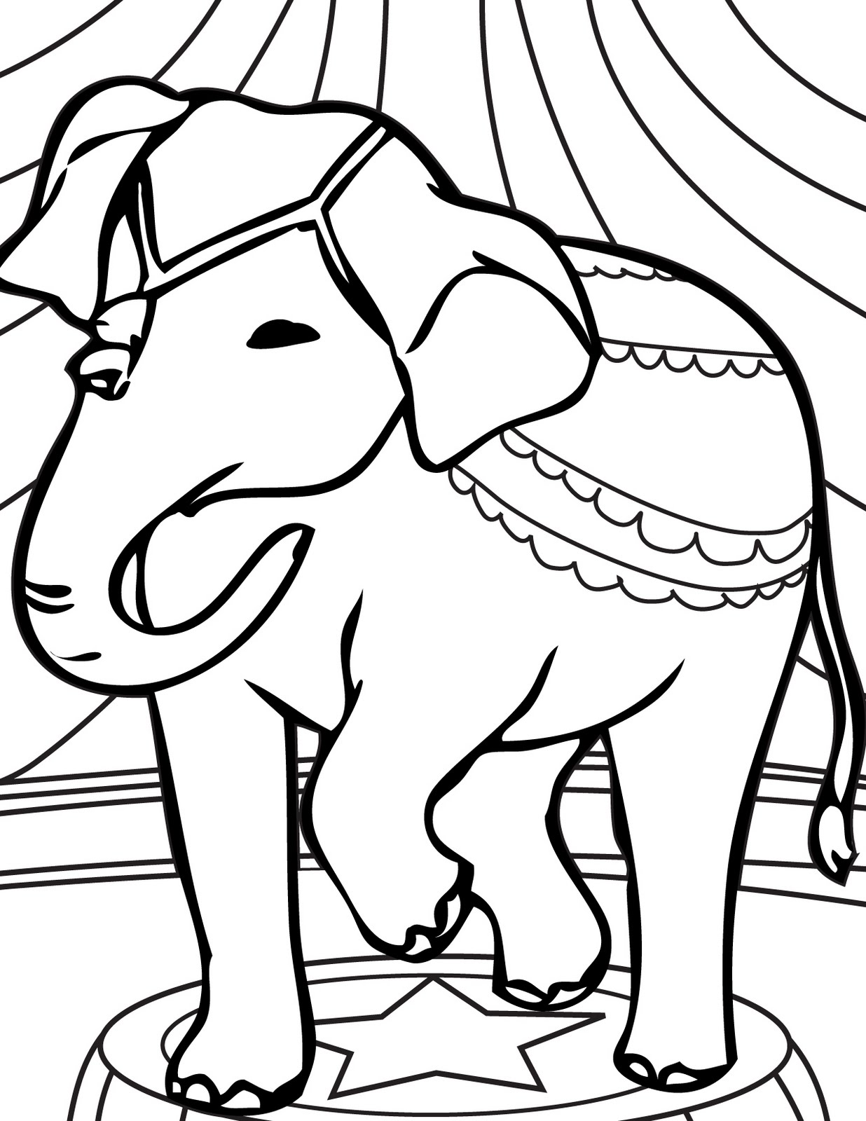 Elephant In Circus