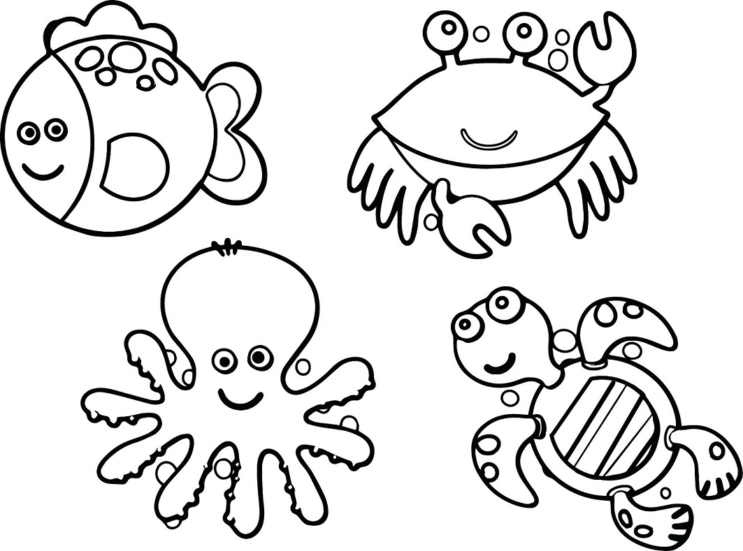 Sea Animals