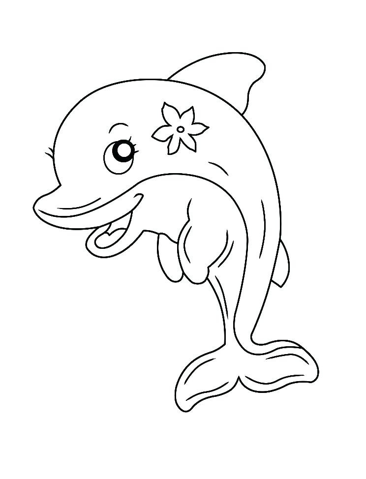 Lovely Dolphin With Flower Coloring Page Coloring Game Lovely Dolphin With Flower Coloring Page