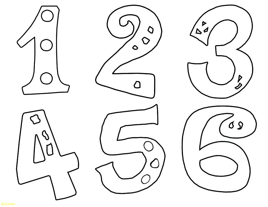 Numbers