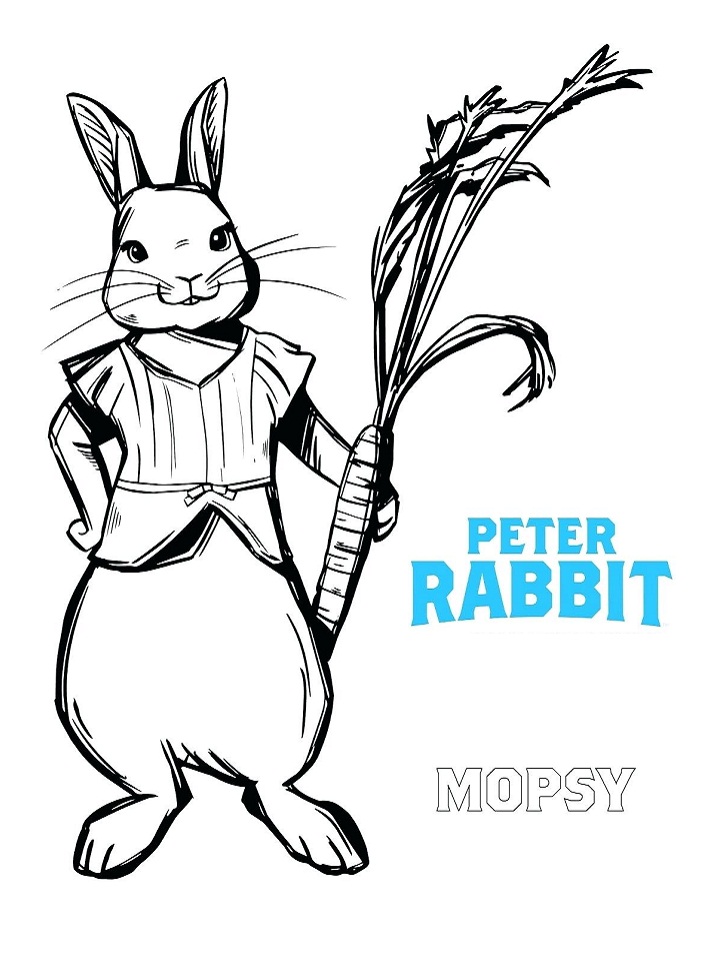 Peter from Peter Rabbit Coloring - Play Free Coloring Game Online