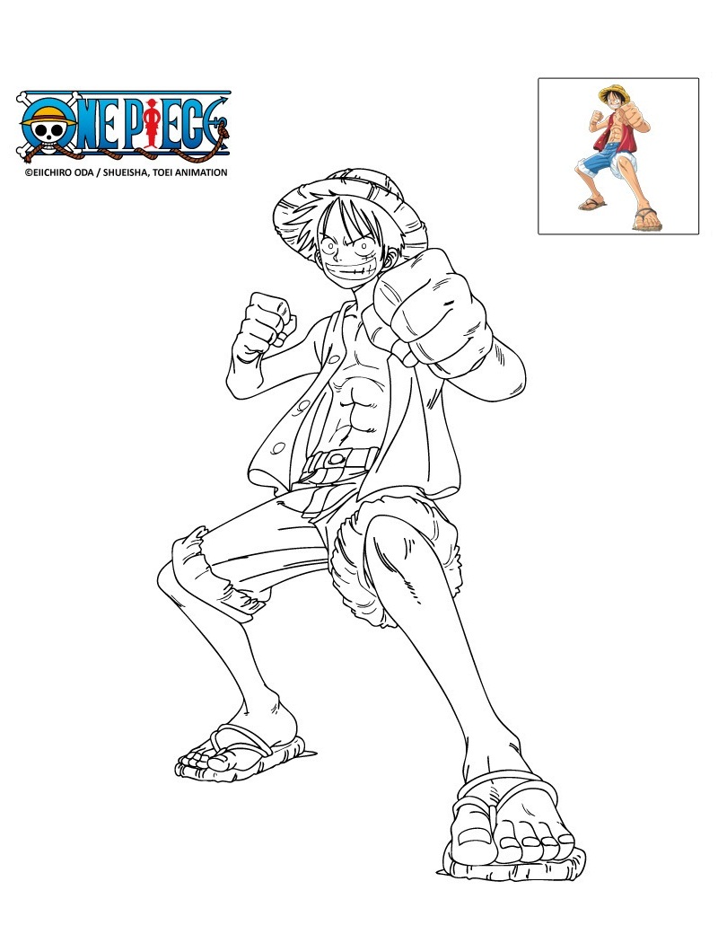 Action Luffy Smiling