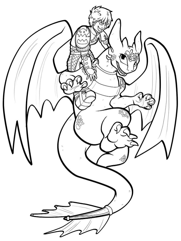 Hiccup Smiling with Toothless