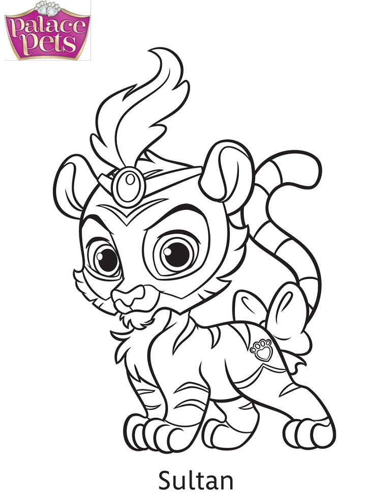 Palace Pets Sultan