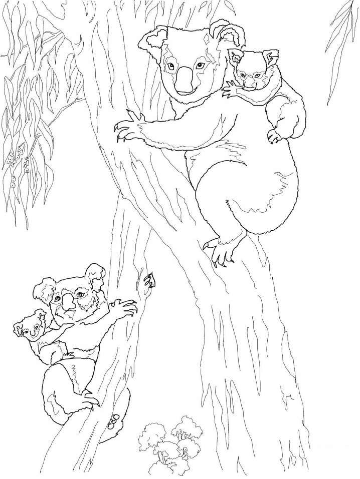 Koala Moms with Babies Coloring Game Koala Moms with Babies