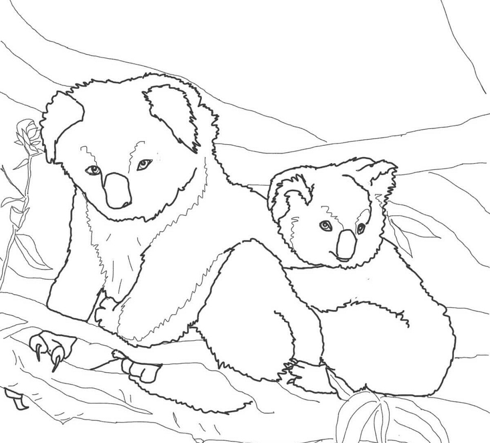 Mother and Baby Koala Coloring Game Mother and Baby Koala