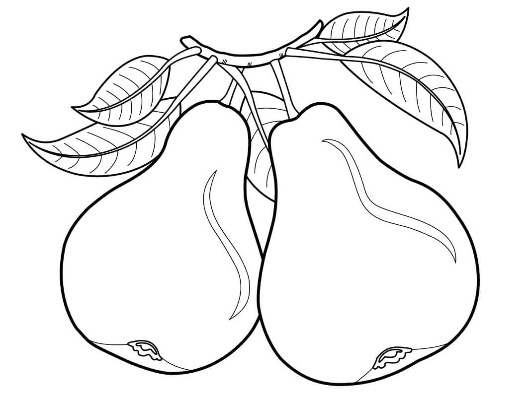 2 Pears