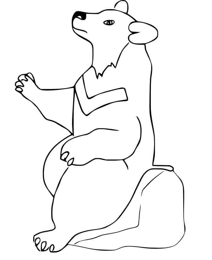 A Black Bear Coloring Game A Black Bear
