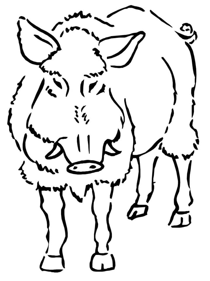 A Boar