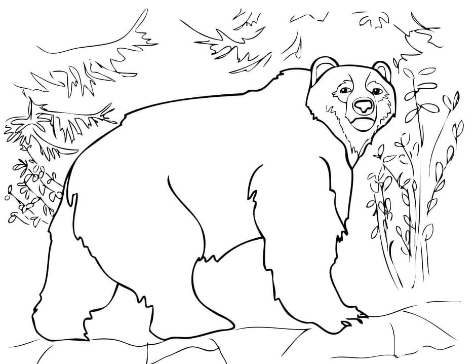 Brown Bear Standing Coloring - Play Free Coloring Game Online