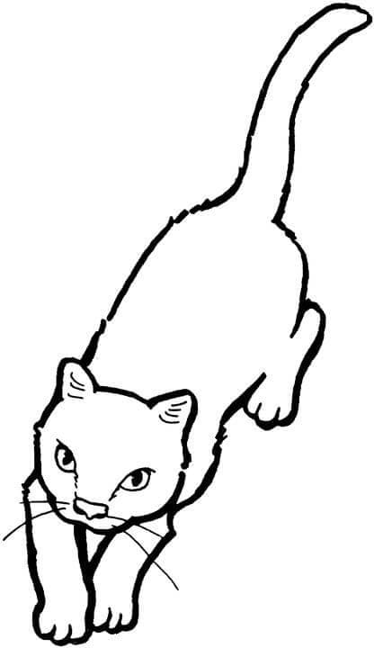 Cat Coloring Games - ColoringGames.Net