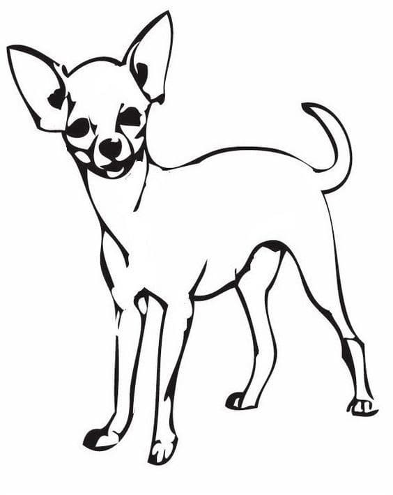 A Chihuahua Dog Coloring Game A Chihuahua Dog