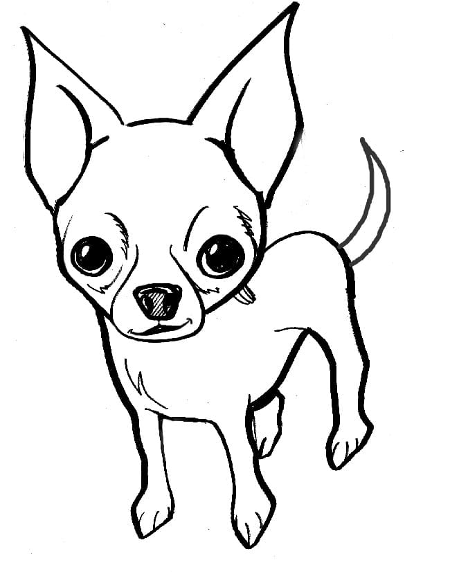 A Chihuahua Coloring Game A Chihuahua