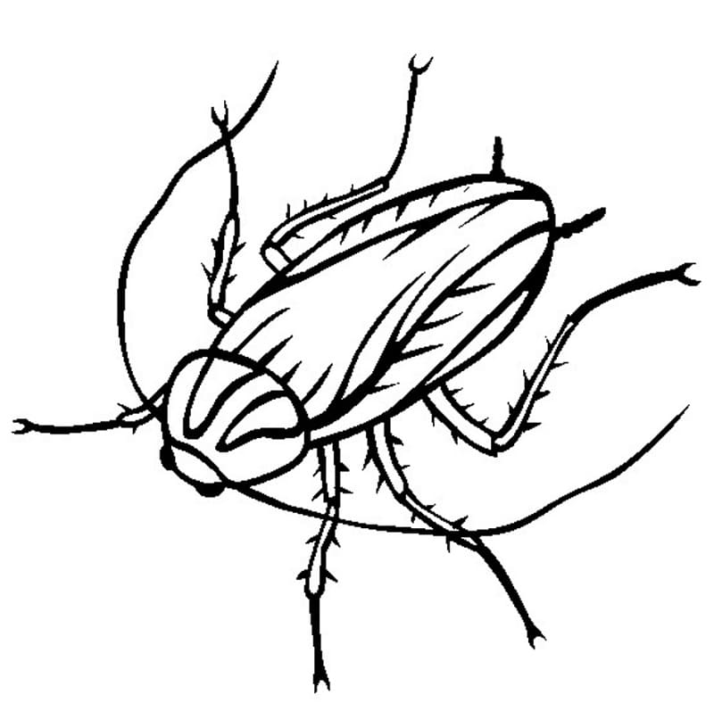 A Cockroach Coloring Game A Cockroach