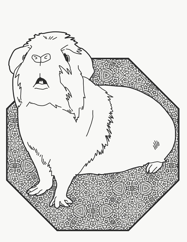 A Curious Guinea Pig Coloring Game A Curious Guinea Pig