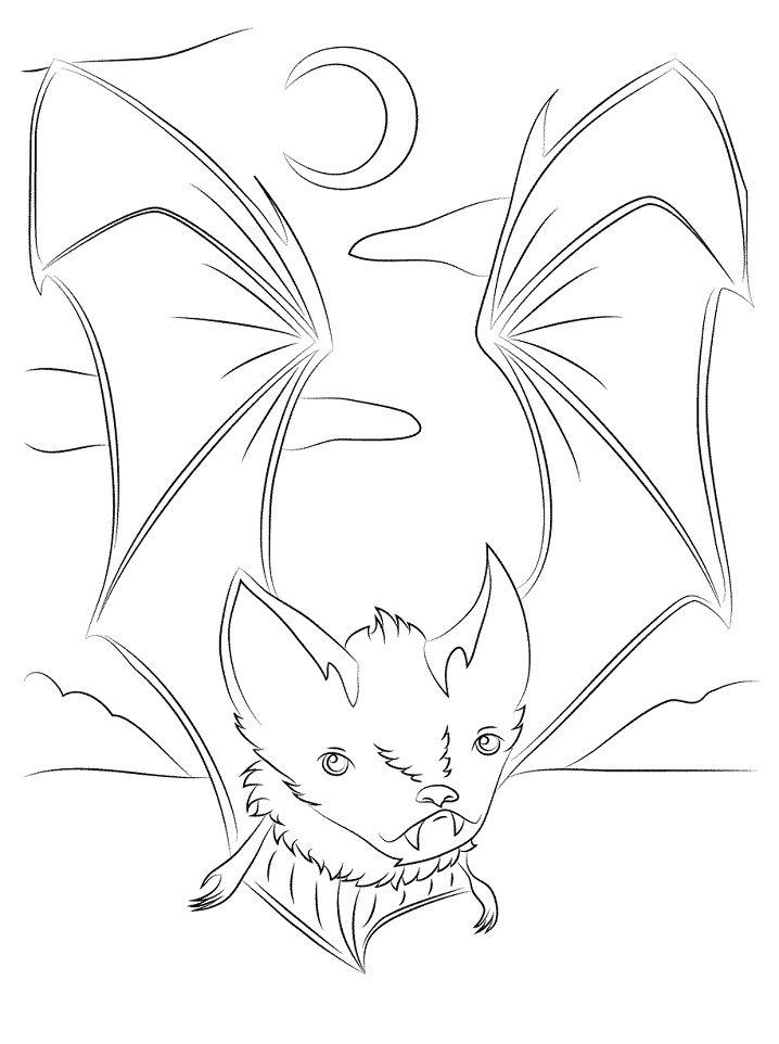 A Cute Bat