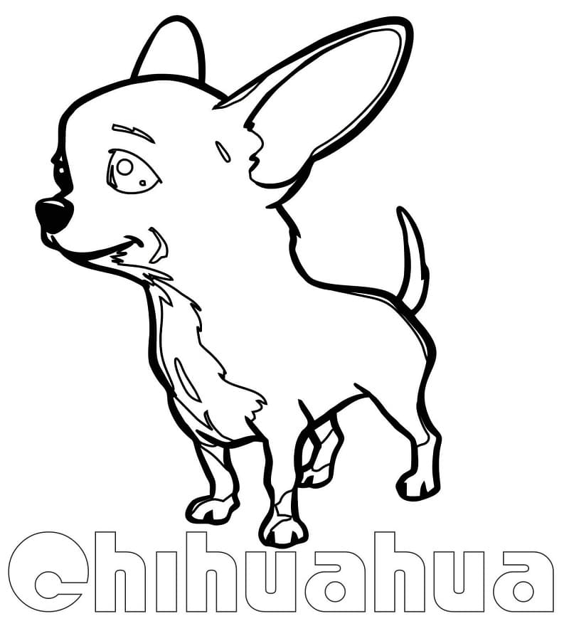 A Cute Chihuahua Coloring Game A Cute Chihuahua