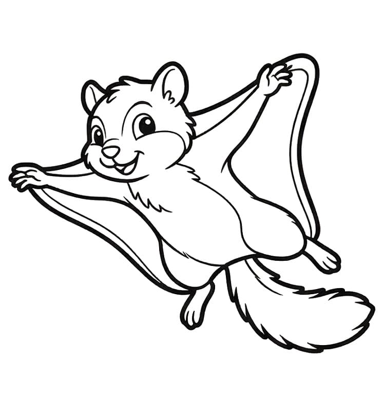 A Cute Flying Squirrel