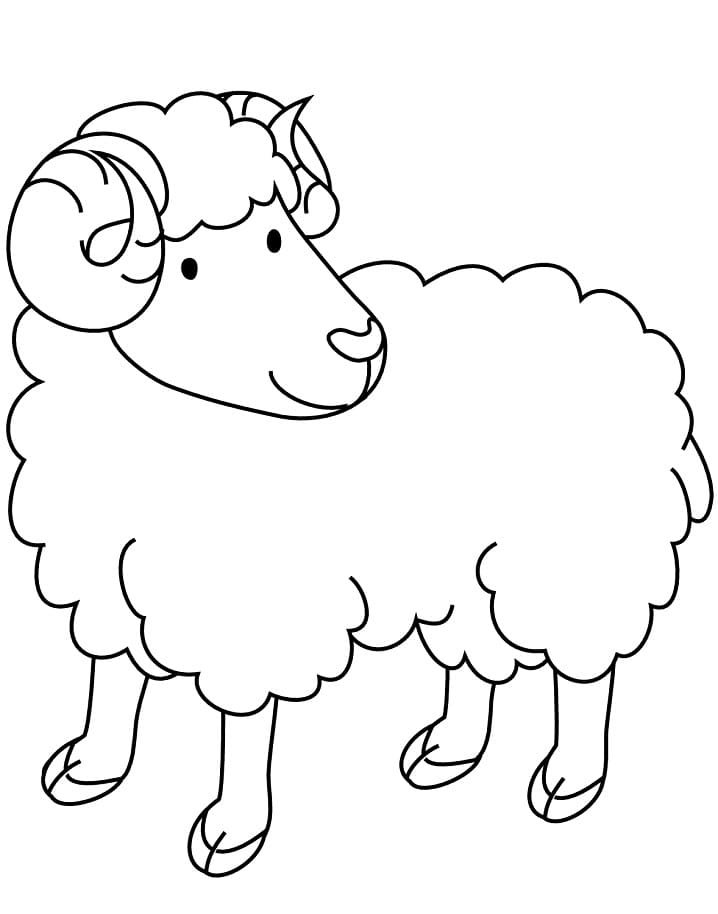 A Cute Ram Coloring Game A Cute Ram