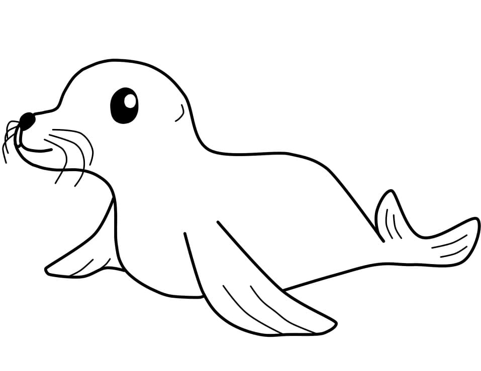 A Cute Seal Coloring Game A Cute Seal