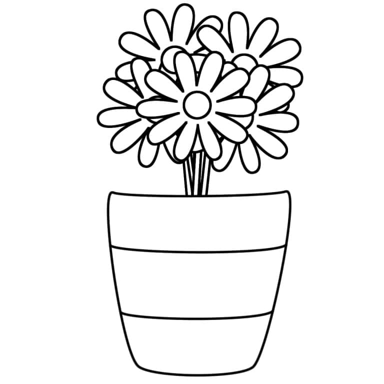 A Flower Pot