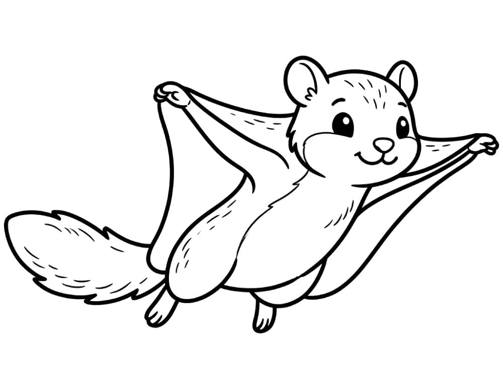 A Flying Squirrel