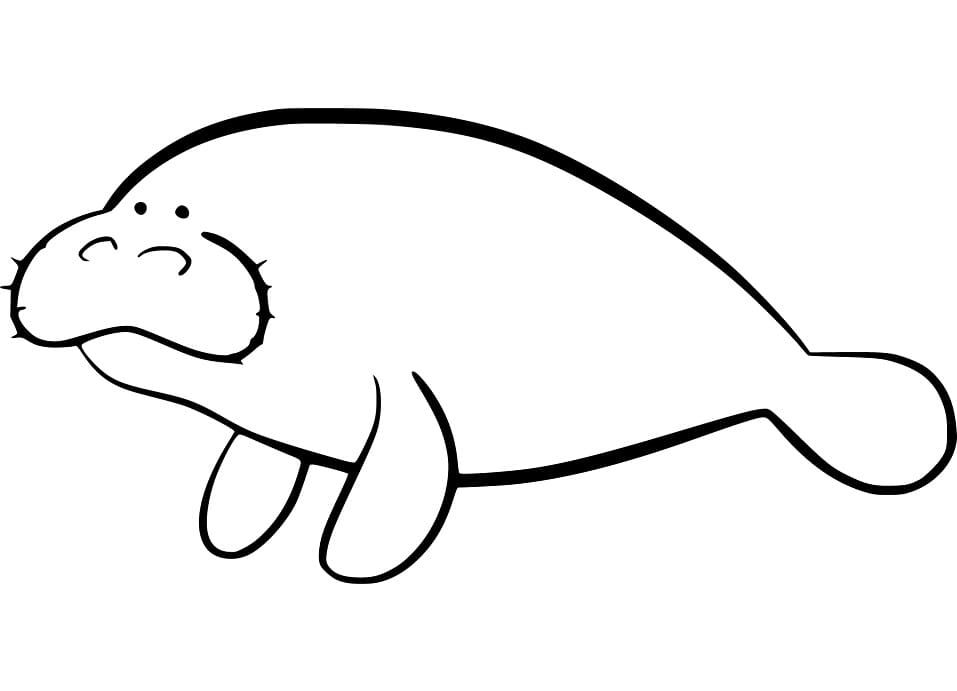 A Funny Manatee