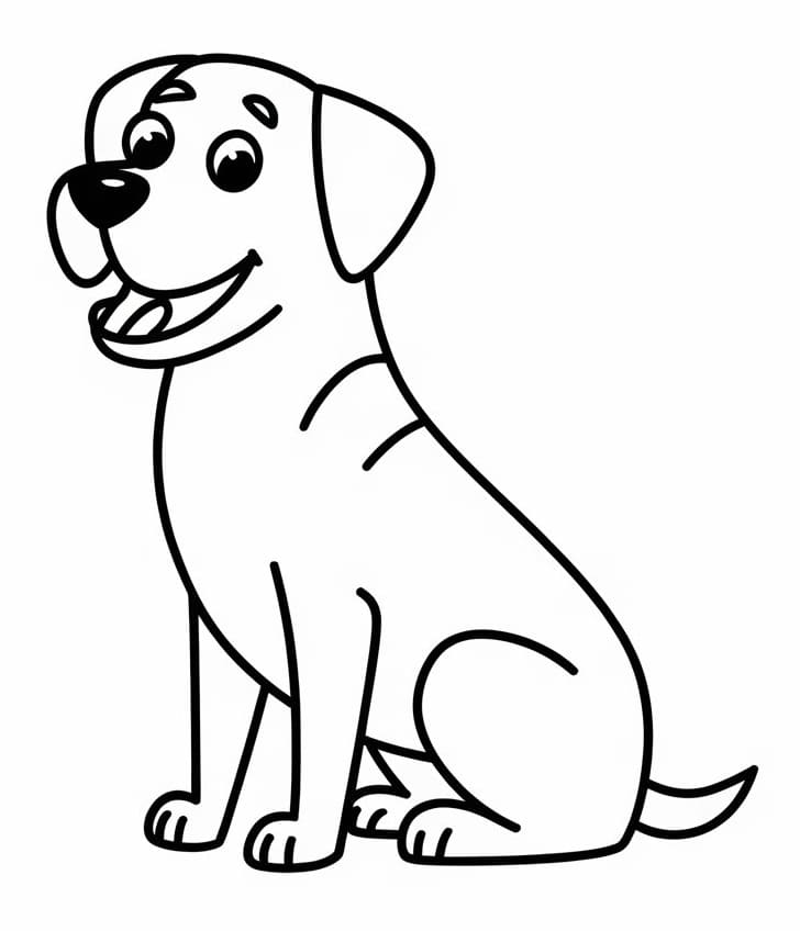 A Labrador Dog
