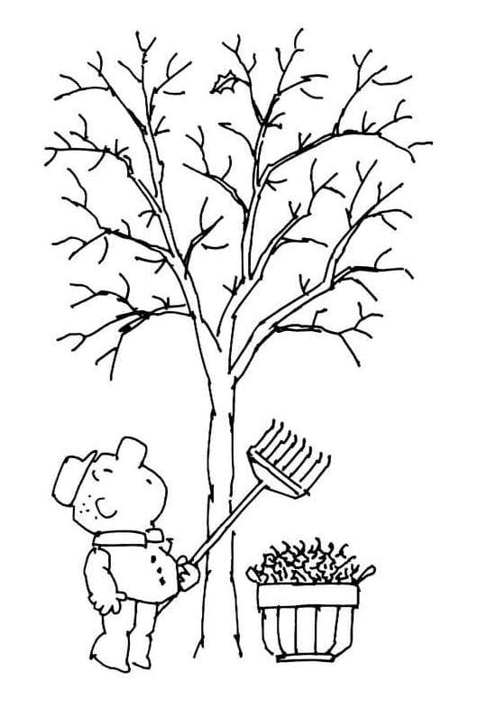 A Man is Raking Leaves