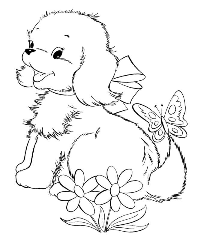 A Puppy and Butterfly