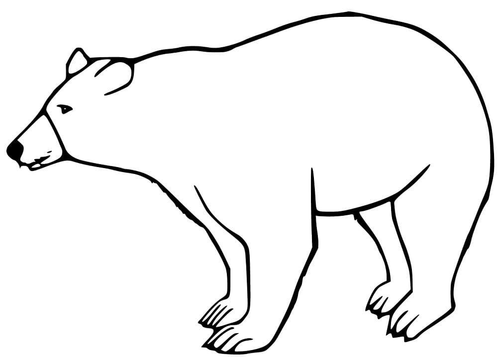 A Simple Black Bear Coloring Game A Simple Black Bear