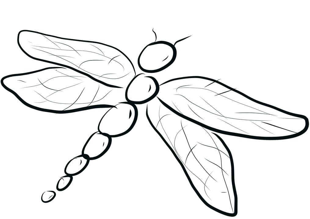 A Simple Dragonfly Coloring Game A Simple Dragonfly
