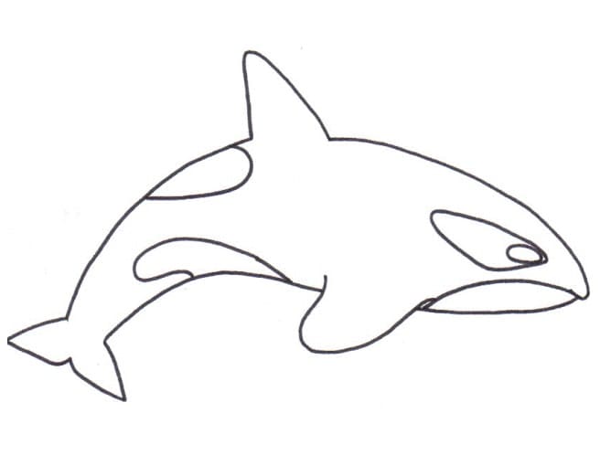 A Simple Killer Whale