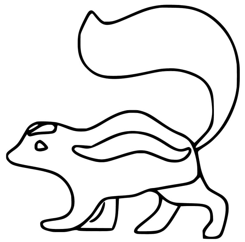 A Simple Skunk