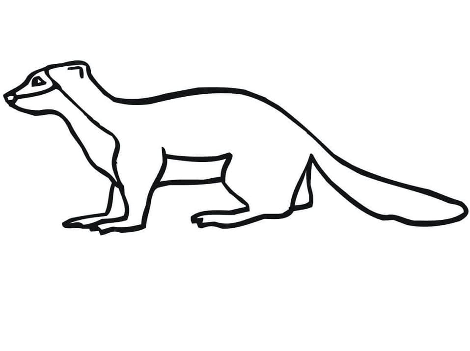 A Simple Weasel Coloring Game A Simple Weasel