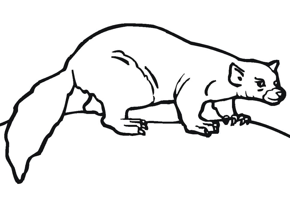 A Weasel Coloring Game A Weasel