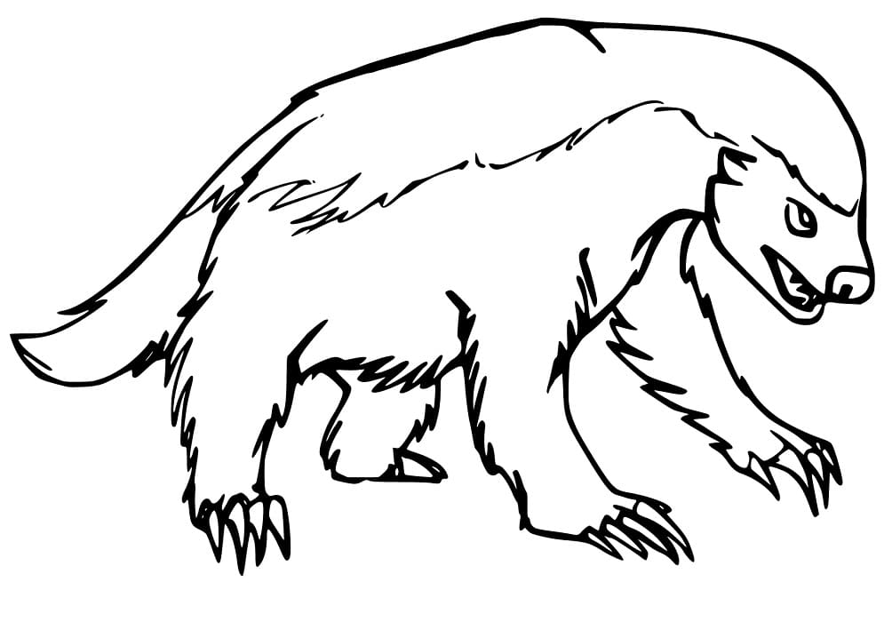 A Wild Badger Coloring Game A Wild Badger